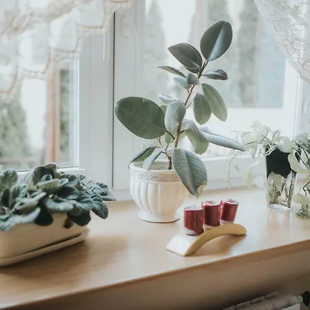Wakacyjna Przygoda W Gdyni Apartman *