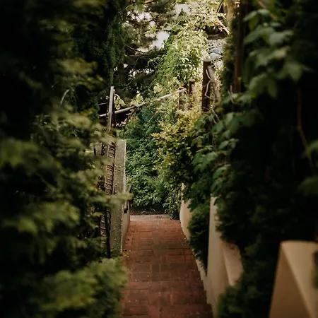 شقة Wakacyjna Przygoda W Gdyni غدينيا