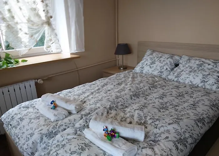 Wakacyjna Przygoda W Gdyni